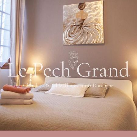 Chambres&Tables d'hôtes Le Pech Grand Saint-Sozy Extérieur photo